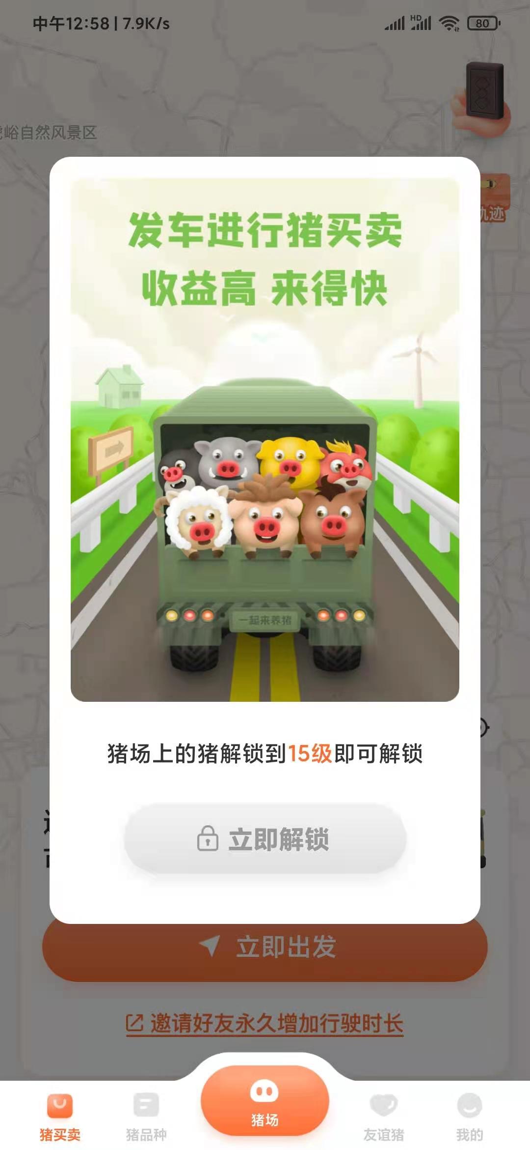 一起來養(yǎng)豬豬買賣