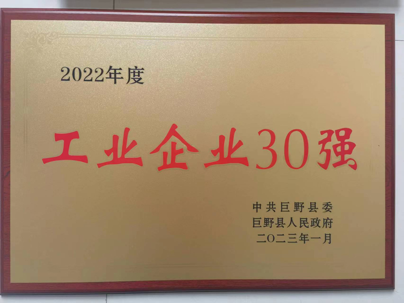 工業(yè)企業(yè)30強